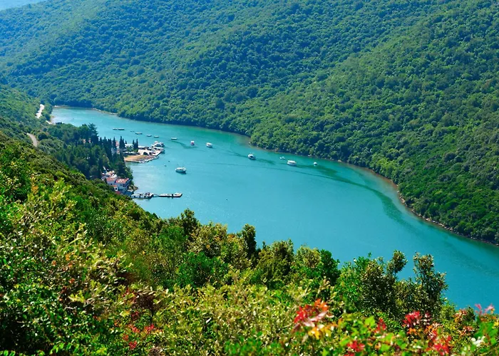 In - Istrien 11532 Apartman Rovinj