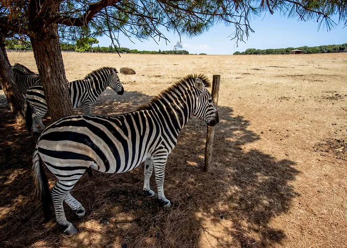 Appartamento In - Istrien 11532